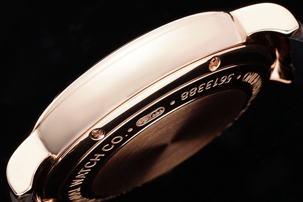 アイ・ダブリュー・シー着用イメージ